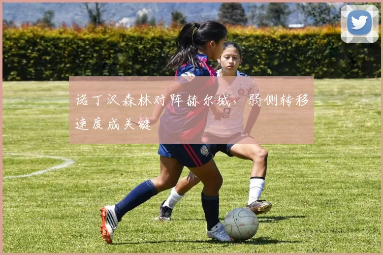 诺丁汉森林对阵赫尔城，弱侧转移速度成关键